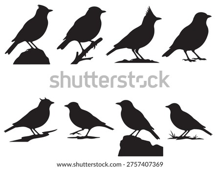 black and white vector silhouette set of lark bird