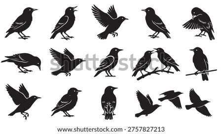 black and white vector silhouette set of starling