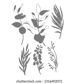 Black and white vector silhouette sketch illustration,eucalyptus twig and leaves. Floral element for wedding and invitation cards.