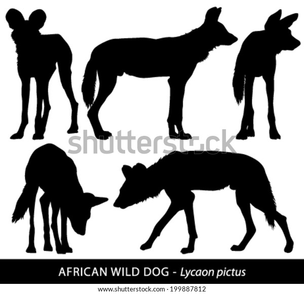 Black White Vector Silhouettes African Wild Stockvektor (royaltyfri) 199887812 Shutterstock