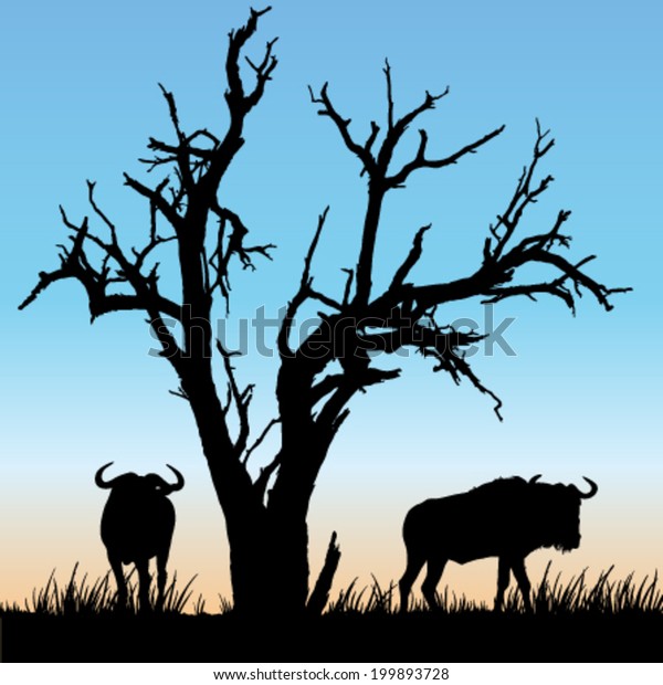 Black White Vector Silhouettes Beautiful African стоковая векторная