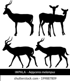 Black And White Vector Silhouettes Of Impala