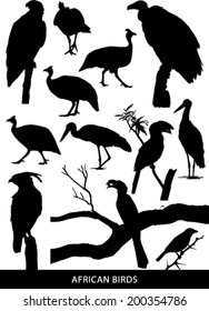 Black and white vector silhouettes of a variety of African birds and raptors