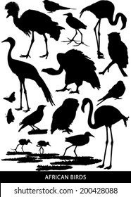 Black and white vector silhouettes of a variety of African birds