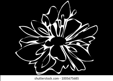 black and white vector sketch abstract flower