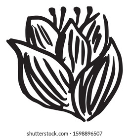 Black and white vector sketch abstract flower