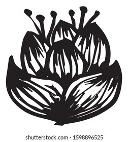Black and white vector sketch abstract flower
