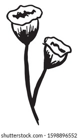 Black and white vector sketch abstract flower