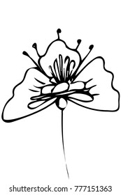 black and white vector sketch abstract flower