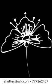 black and white vector sketch abstract flower