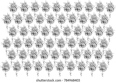 black and white vector sketch abstract flower