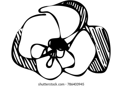 black and white vector sketch abstract flower