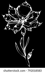 
black and white vector sketch abstract flower
