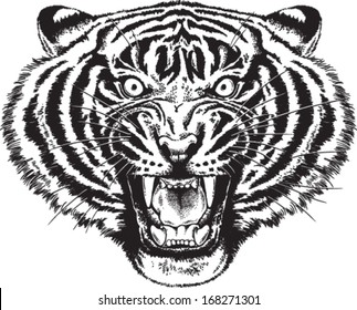 Black and white vector sketch of an angry tiger roaring