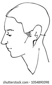 black and white vector sketch of a beautiful man profile