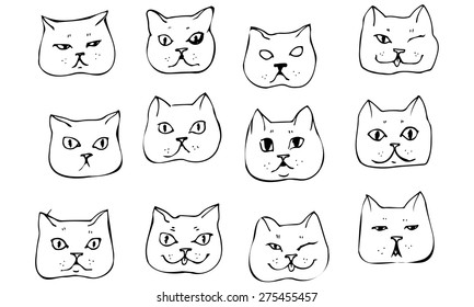 black and white vector sketch beautiful cat muzzle