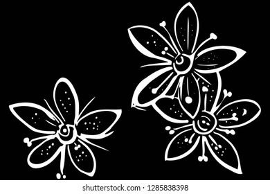 black and white vector sketch blooming beautiful flower