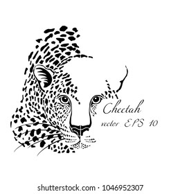 
Black and white vector sketch of cheetah 