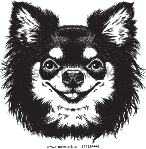 Black White Vector Sketch Cute Long Stock Vector Royalty Free