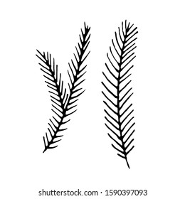 The black and white vector sketch drawing of Christmas tree branches that the child drew for the winter's holidays. Vector drawn in the form of a sketch.