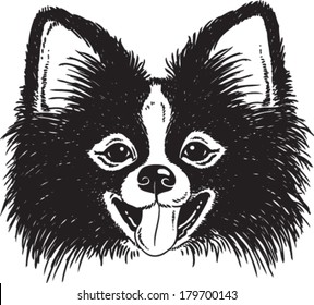 Black and white vector sketch of a fluffy Toy Pomeranian's dog's face