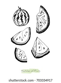 Black and white vector sketch of fruits (whole watermelon and slices), initially hand drawn in Chinese ink, isolated on white