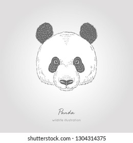 Black and white vector sketch of a Giant Panda's face. Symmetrical animal portrait.