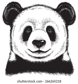 Black and white vector sketch of a Giant Panda's face
