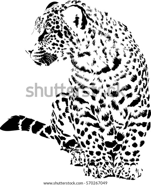 Schwarz Weiss Vektorgrafik Von Leopard Stock Vektorgrafik Lizenzfrei