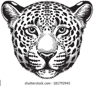 Black and white vector sketch of a leopard's face