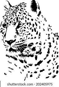 Black and white vector sketch of leopard's muzzle