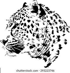 Black and white vector sketch of leopard's muzzle