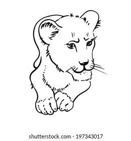 Black and white vector sketch of the lion