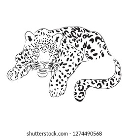 Black and white vector sketch of lying Jaguar