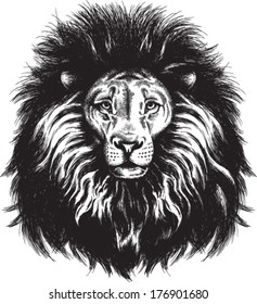 Black and white vector sketch of a majestic lion's face