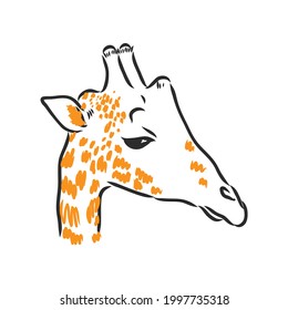 Black and white vector sketch of a male Nyala antelope