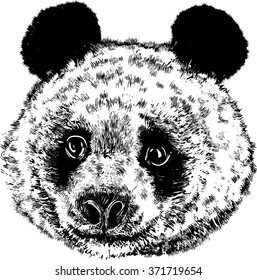 Black White Vector Sketch Pandas Face Stock Vector (Royalty Free ...