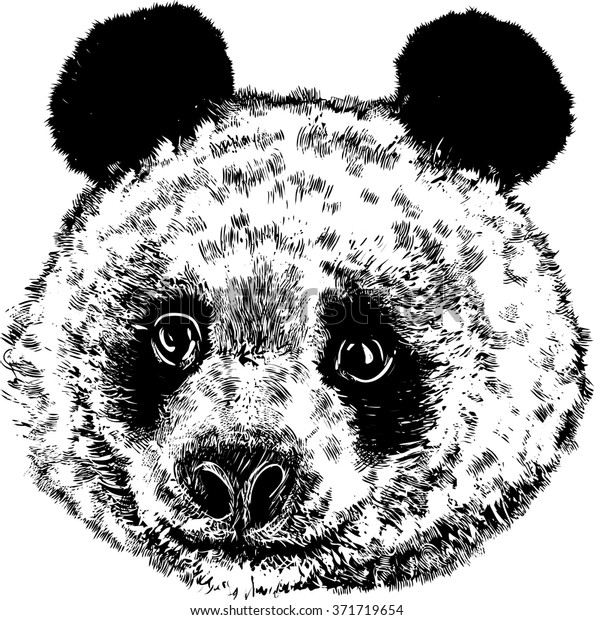 Black White Vector Sketch Pandas Face Stock Vector (Royalty Free ...