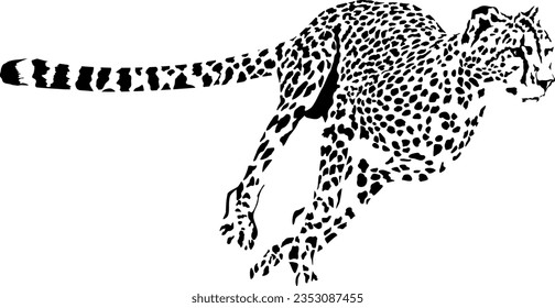 Schwarz-Weiß-Vektorgrafik der laufenden Cheetah Acinonyx jubatus