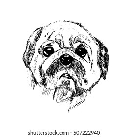 Black and white vector sketch of a sad dog