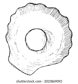 Black and white vector sketch of a scallop shell and pearls inside. Rough freehand pencil drawing of seashell and round ball