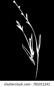 black and white vector sketch of a stalk of grass swinging in the wind