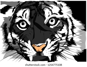 Black and white vector sketch of a tiger s face