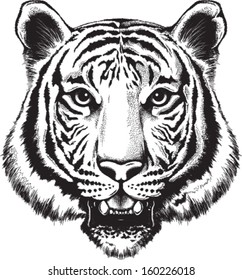 Black and white vector sketch of a tiger's face