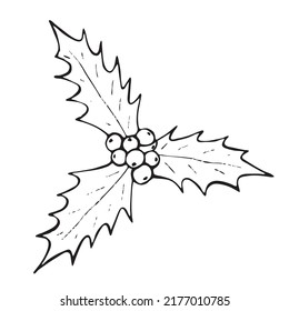Black and white vector sketch of traditional Christmas Holly berry plant decoration