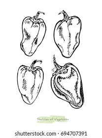 Black and white vector sketch of vegetables (peppers with peduncles), initially hand drawn in Chinese ink, isolated on white