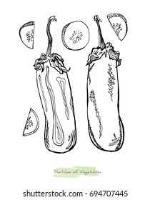 Black and white vector sketch of vegetables (eggplant or aubergine with peduncles, whole and slices of it), initially hand drawn in Chinese ink, isolated on white