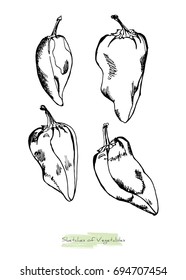 Black and white vector sketch of vegetables (peppers with peduncles), initially hand drawn in Chinese ink, isolated on white