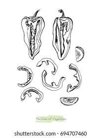 Black and white vector sketch of vegetables (peppers with peduncles cut in half along and slices of some vegetables), initially hand drawn in Chinese ink, isolated on white