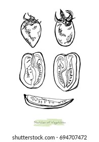 Black and white vector sketch of vegetables (tomatoes with peduncles, whole and cut in half along and a slice), initially hand drawn in Chinese ink, isolated on white